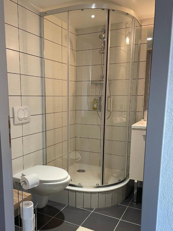 Studio Sous Les Toits Annecy Centre-Ville Bagian luar foto
